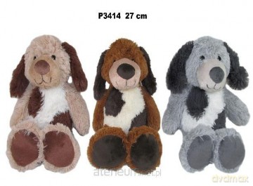 Pies 27cm MIX