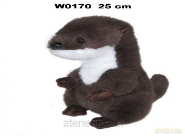 Wydra 25cm
