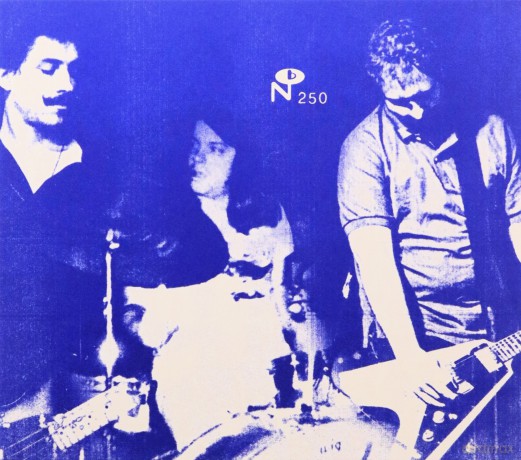 Husker Du: 1985: The Miracle Year [2CD]