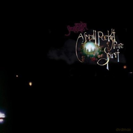 Silver Sunshine: A Small Pocket Of Pure Spirit [CD]