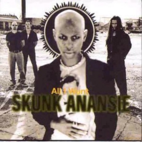 Skunk Anansie: All I Want [CD]