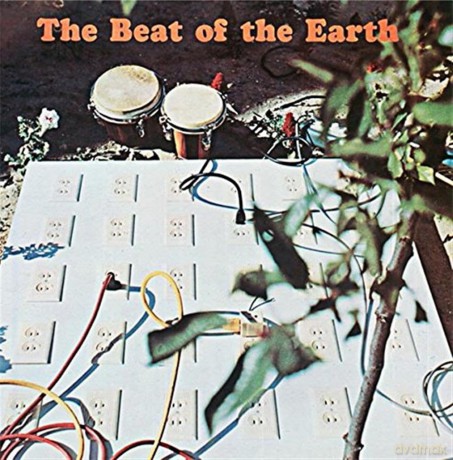 The Beat of the Earth: Beat Of The Earth [CD]