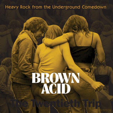 Brown Acid Twentieth Trip [CD]