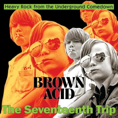 Brown Acid: The 17th Trip [CD]