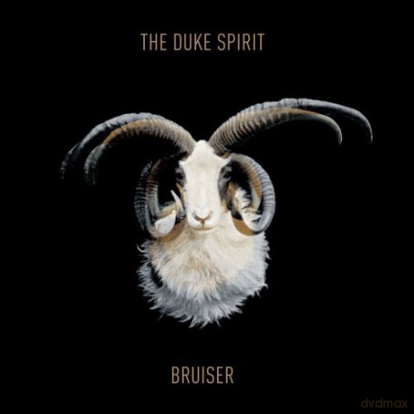 Duke Spirit: Bruiser [CD]