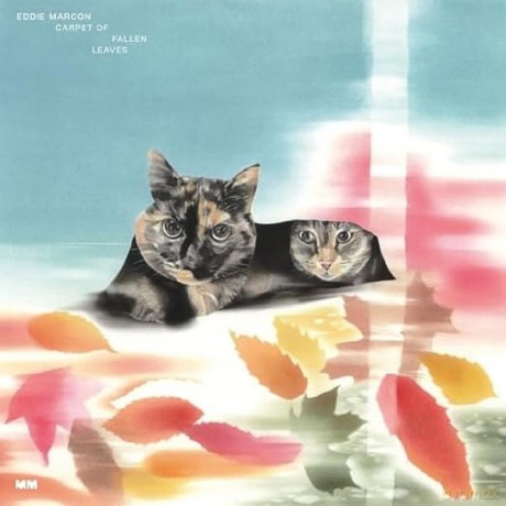 Eddie Marcon: Carpet Of Fallen Leaves [CD]