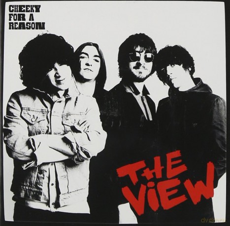 View: Cheeky for a Reason [CD]