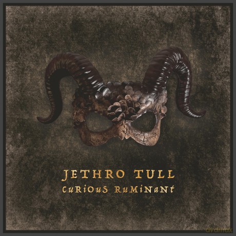 Jethro Tull: Curious Ruminant [CD]