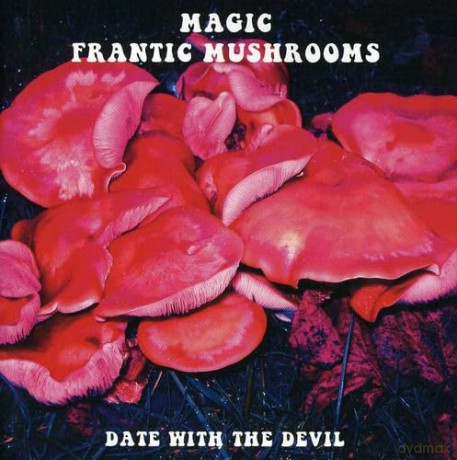 Magic Frantic Mushrooms: Date With the Devil [CD]