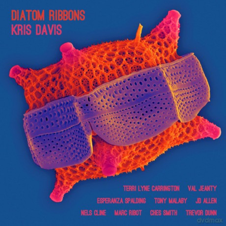 Kris Davis: Diatom Ribbons [CD]