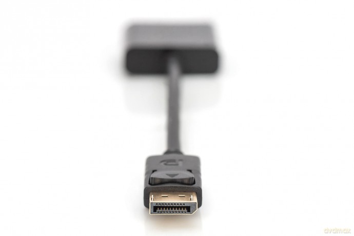 Display: Digitus 0.15m Dp Male To Hd15 Female Displayport Adapter Cable - Black [CD]
