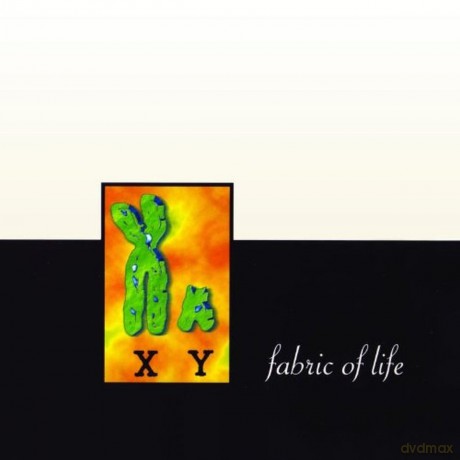 Nylons: Fabric of Life [CD]