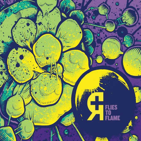 Rosetta: Flies to Flame [CD]