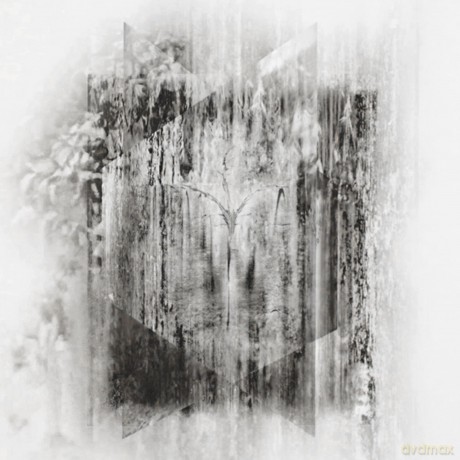 Three Point Circle: Fluorescent Grey [CD]