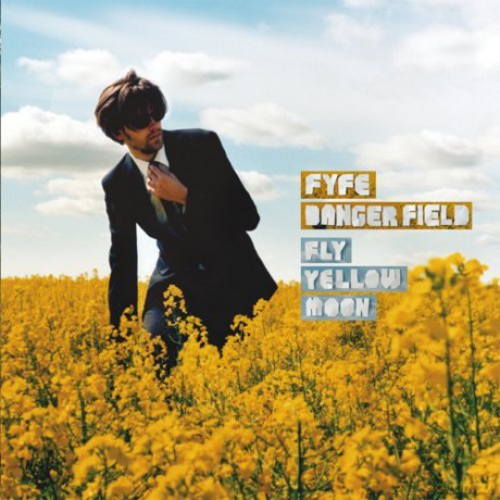 Fyfe Dangerfield: Fly Yellow Moon [CD]