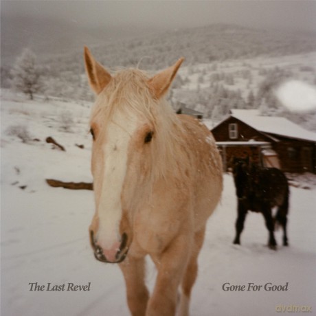 Last Revel: Gone For Good [CD]