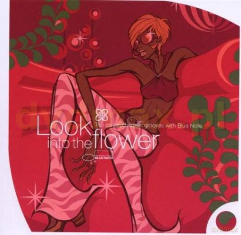 Look Into The Flower: The Psychedelic Ex [CD]