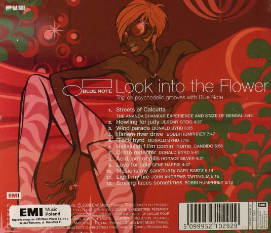 Look Into The Flower: The Psychedelic Ex [CD]