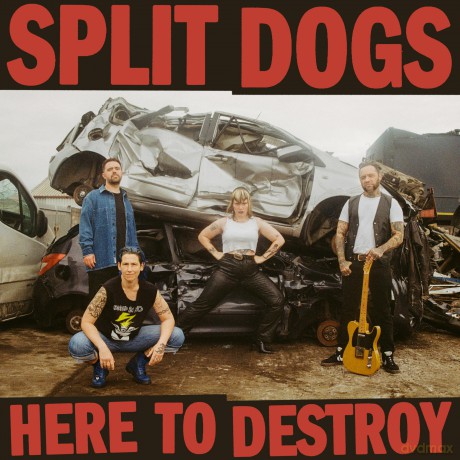 Split Dogs: Here To Destroy [CD]