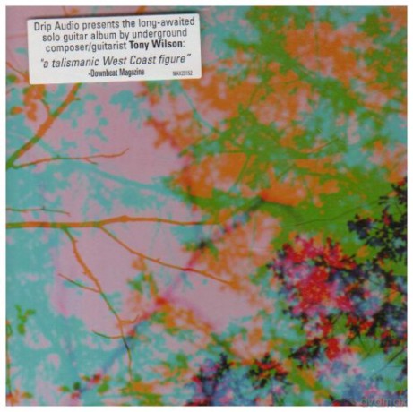 Tony Wilson: Horse's Dream [CD]