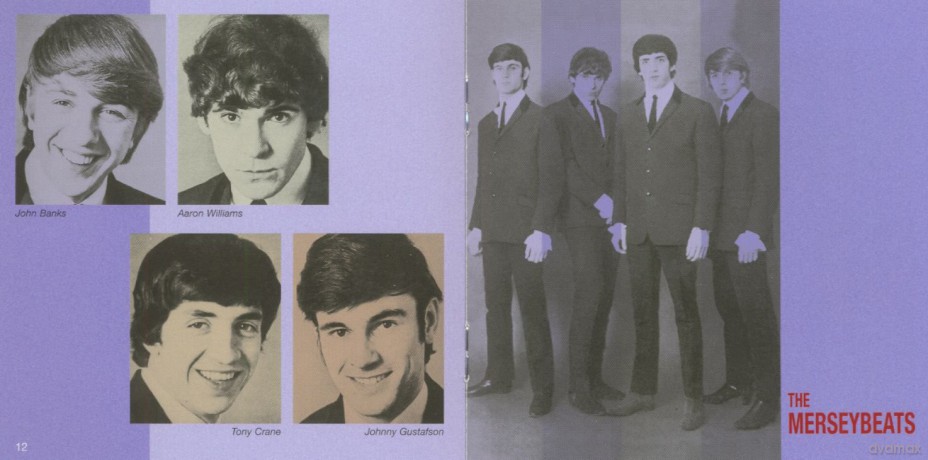 Merseybeats: I Think Of You - The Complete Recordings [CD]