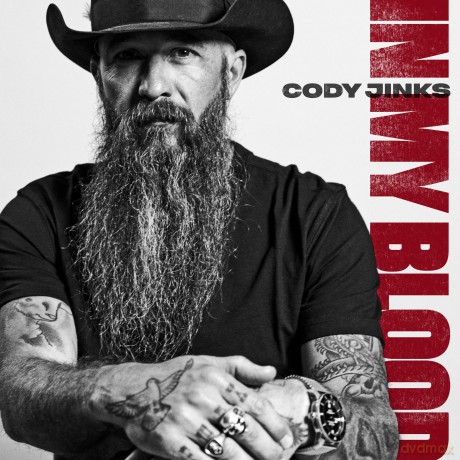 Cody Jinks: In My Blood [CD]