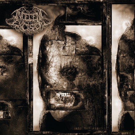 Indecent Excision: Indecent Excision - Into The Absurd [CD]