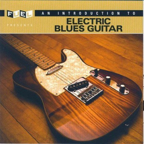 Introduction to Electric Blues [CD]