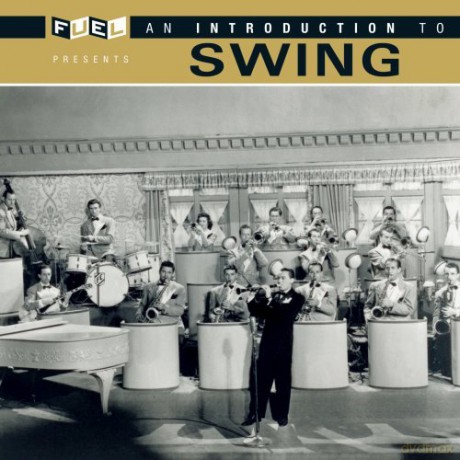 Introduction to Swing [CD]