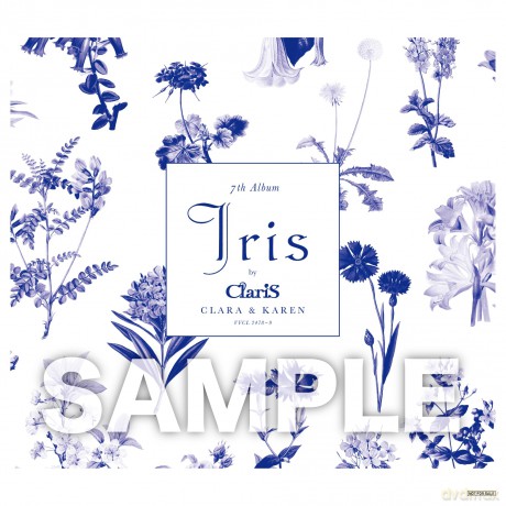 Alvaro Torres Trio: Iris - With Special Guest Barry Altschul [CD]