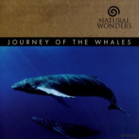 David Arkenstone: Journey of the Whales [CD]