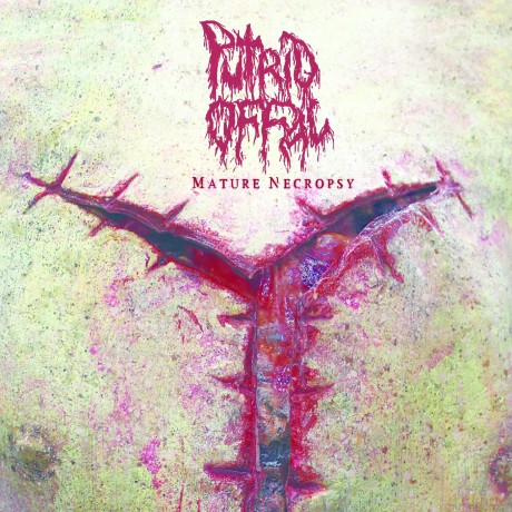 Putrid Offal: Mature Necropsy [CD]