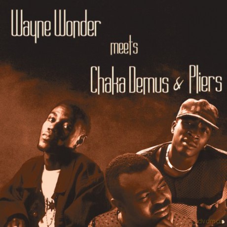 Wayne Wonder: Meets Chaka Demus [CD]