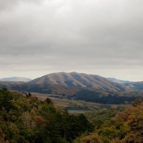 Dirty Projectors: Mount Wittenberg Orca [CD]