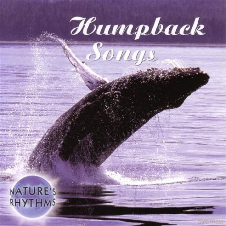 Nature's Rhythms: Humpback Son [CD]