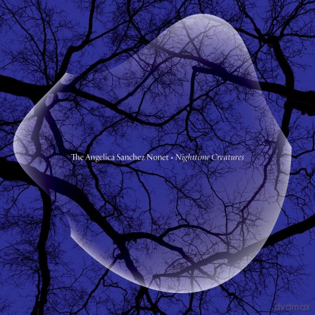 Angelica Sanchez Nonet: Nighttime Creatures [CD]