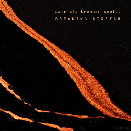 Patricia Brennan Septet: Patricia Brennan - Breaking Stretch [CD]
