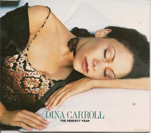 Dina Carroll: Perfect Year [CD]