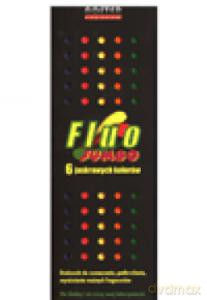 Kredki ołówkowe 6 kolorów Fluorescencyjne Jumbo [SZKOŁA]
