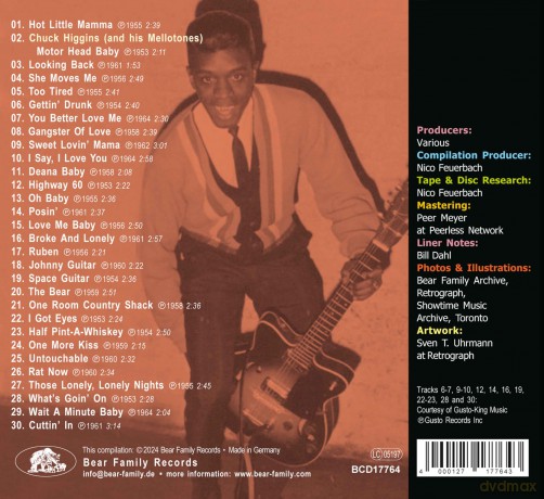 Johnny Guitar Watson: Rocks [CD]