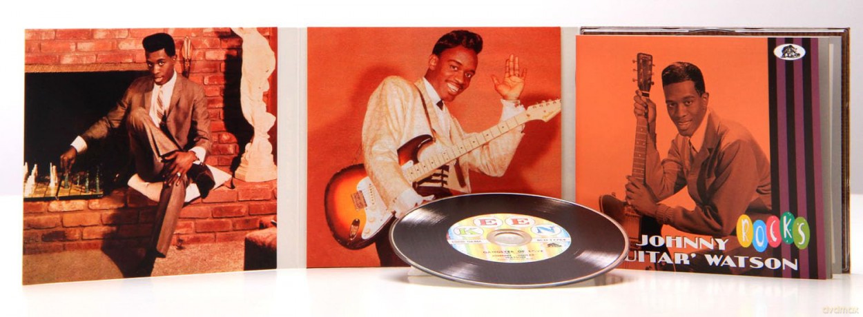 Johnny Guitar Watson: Rocks [CD]