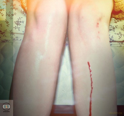 Los Campesinos: Romance Is Boring [CD]