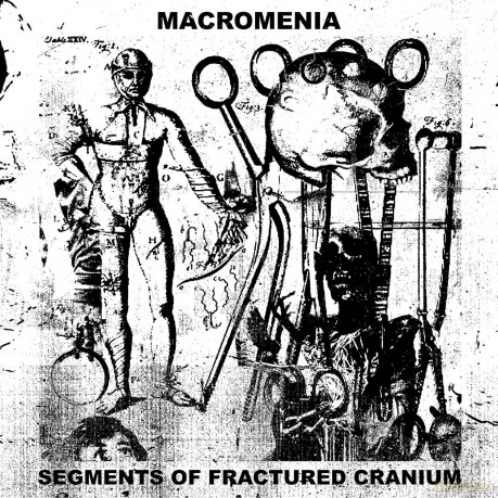 Macromenia: Segments Of Fractured Cranium [CD]
