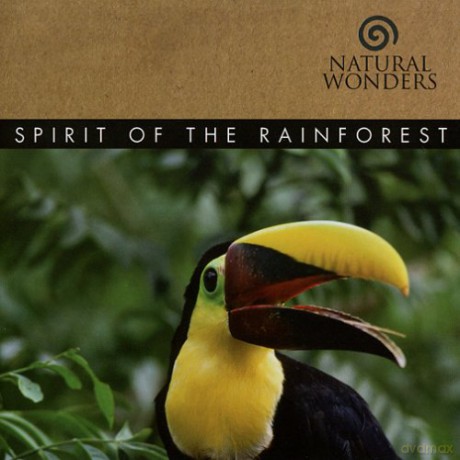 David Arkenstone: Spirit of the Rain Forest [CD]
