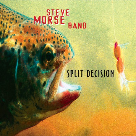 Morse,Steve Band: Split Decision [CD]