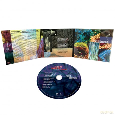 Morse,Steve Band: Split Decision [CD]