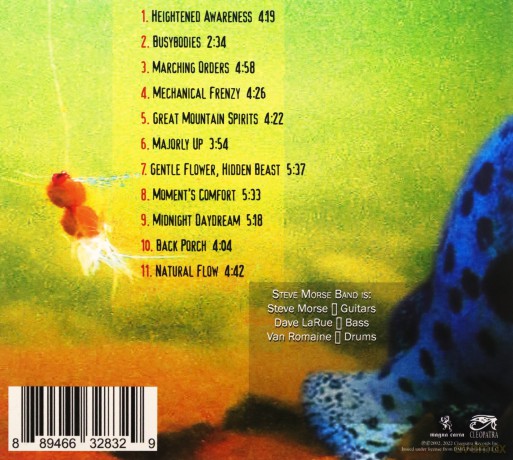 Morse,Steve Band: Split Decision [CD]