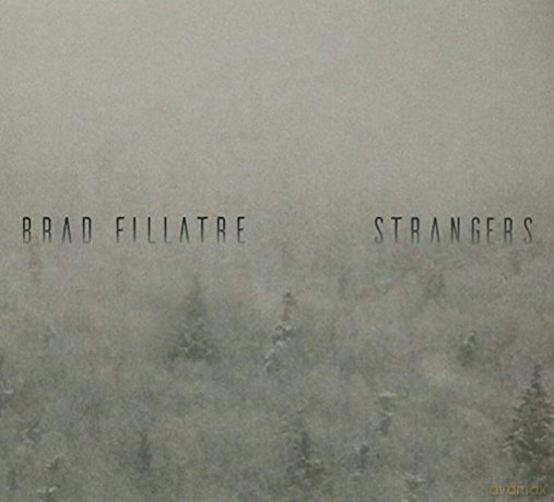 Brad Fillatre: Strangers [CD]