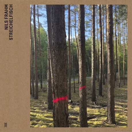 Nils Frahm: Streichelfisch [CD]