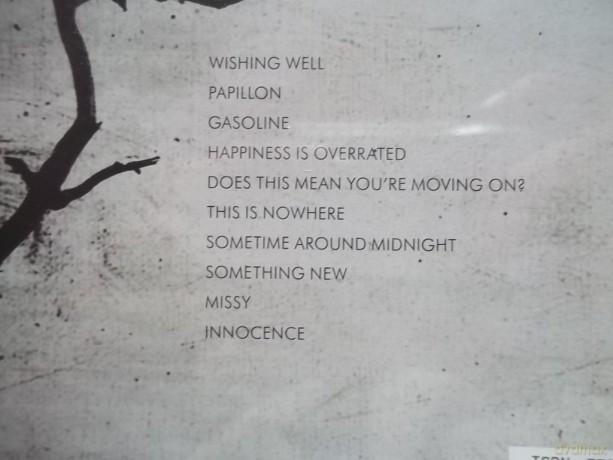 Airborne Toxic Event: The Airborne Toxic Event [CD]